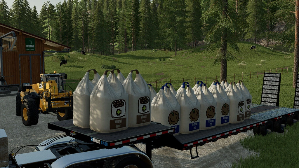 BIGBAGS GADO PACK V1.0