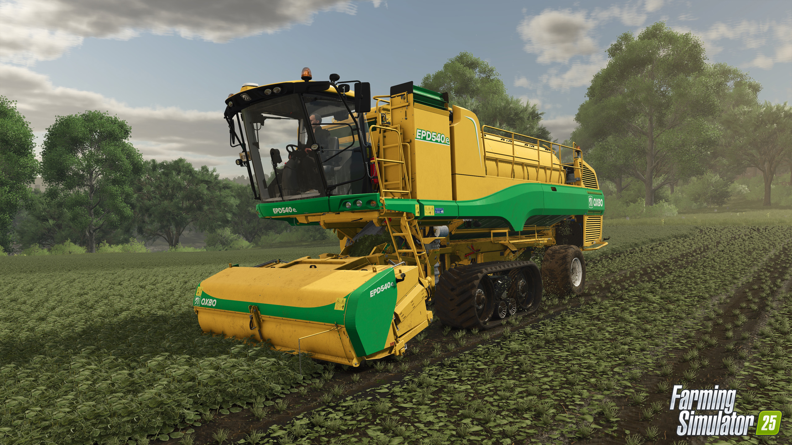 Novo tipo de cultivo: Ervilha no Farming Simulator 25